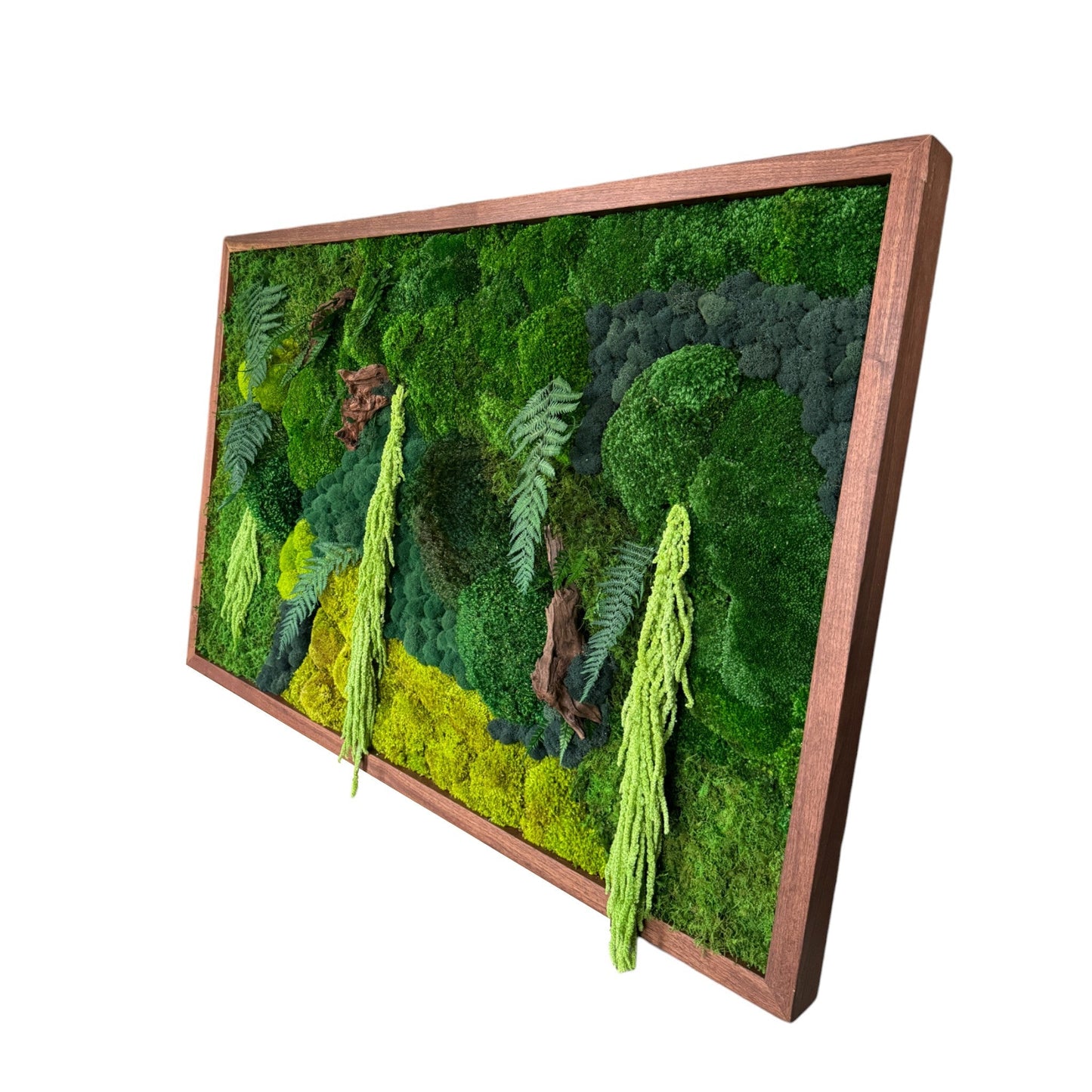 Paradise Moss Art Frame