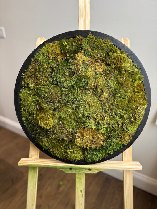 Yellow Mounds Moss Art Circle Frame, Black Frame (One Piece)