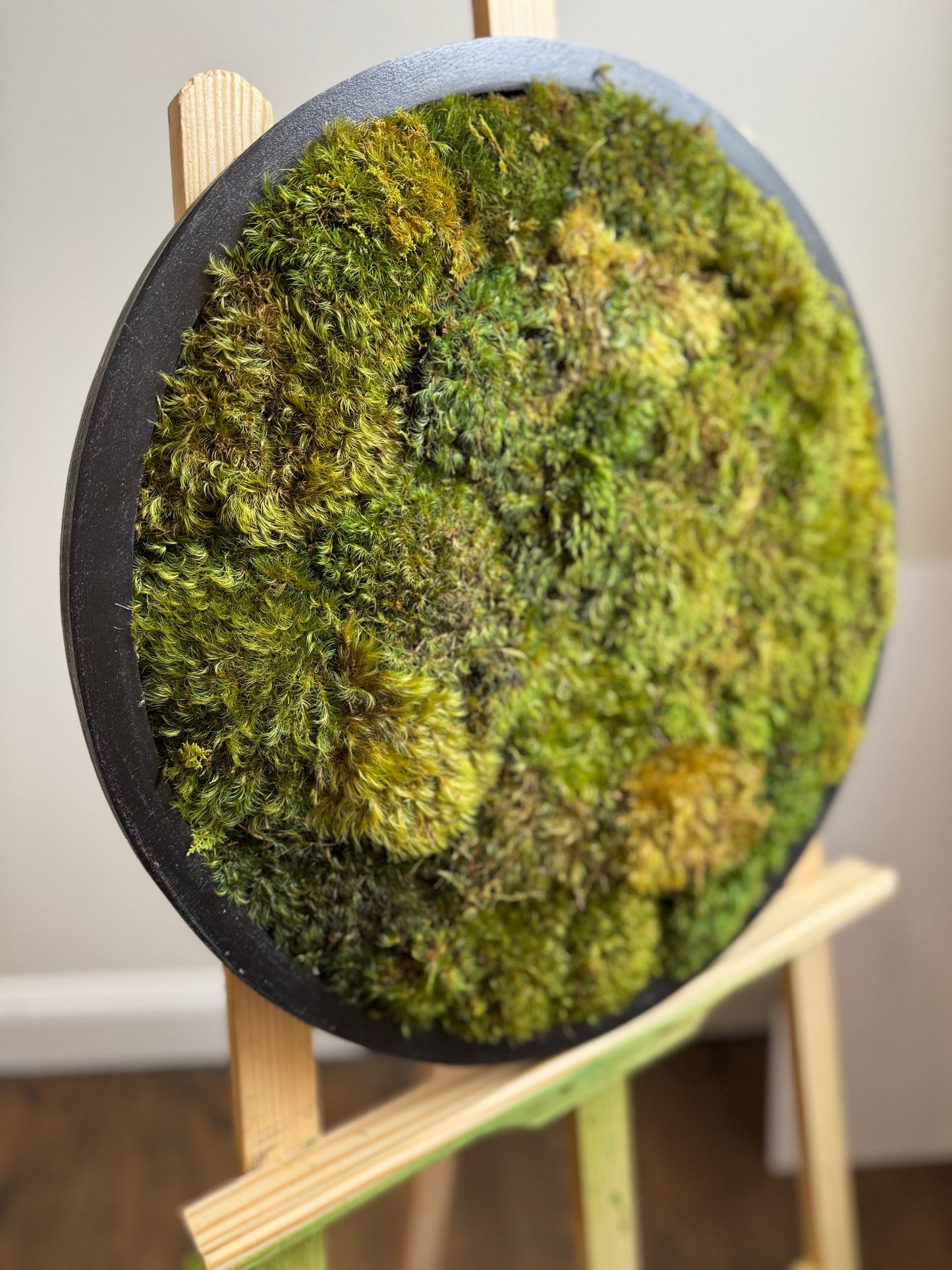 Yellow Mounds Moss Art Circle Frame, Black Frame (One Piece)