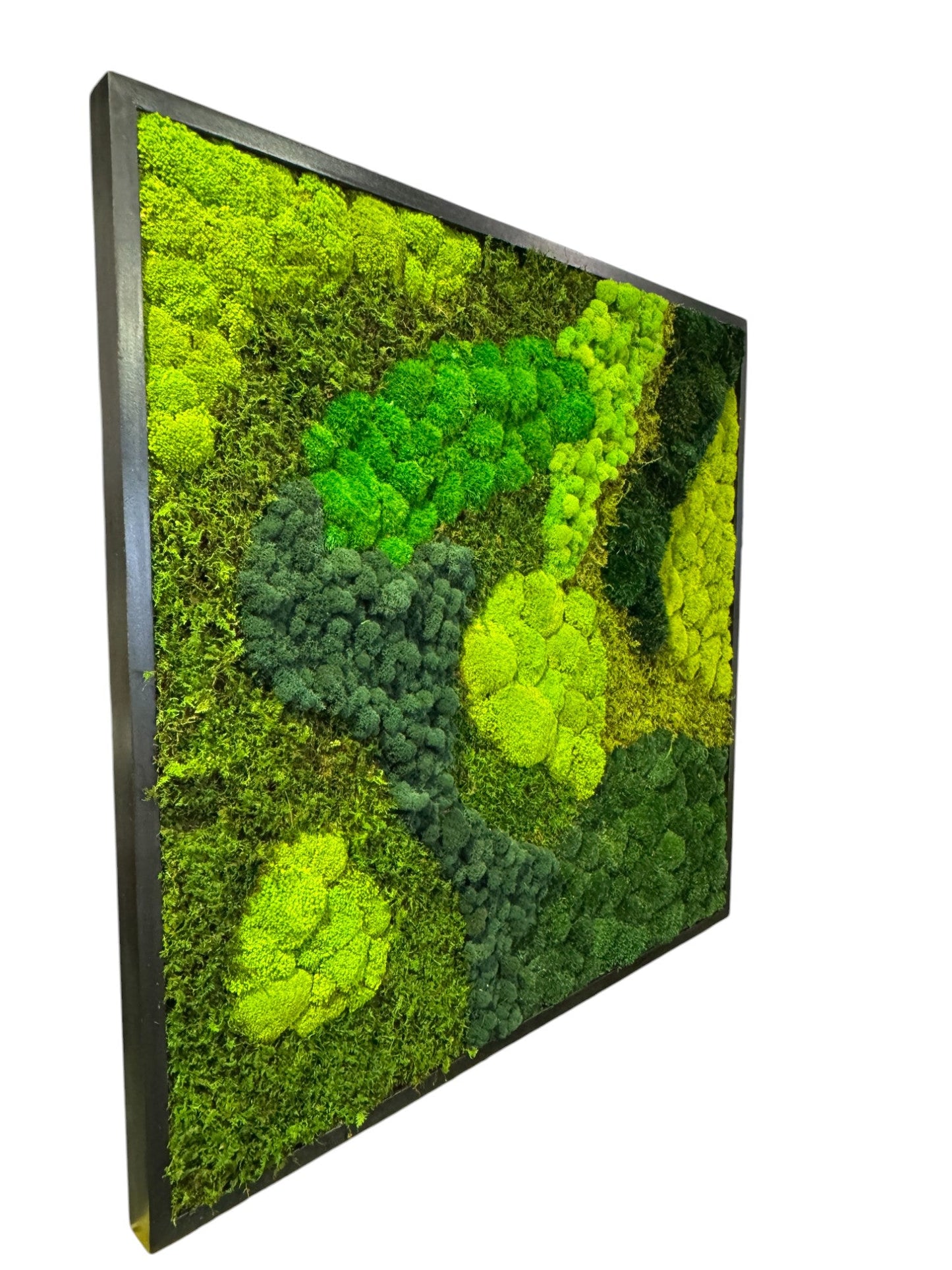 The Contrast Moss Art Frame (Without Leaves)